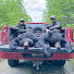 FRppT59Tt10-channel-avatar-The Wild Life