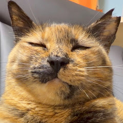 株式会社　ズー