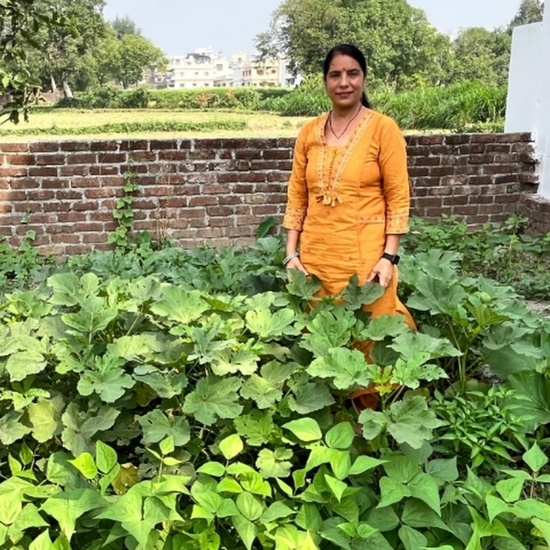 Madhu Gardening Videos