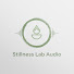 lAYV5O7VJbA-channel-avatar-Stillness Lab Audio