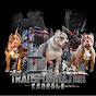 Transformation Kennels logo