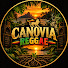 Ex491roleCM-channel-avatar-CANOVIA REGGAE