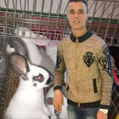 تربية الأرانب مع محمد الحارثي