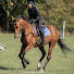 -EtcXpnR2ds-channel-avatar-Wobbly wannabe  Eventer 
