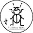 fxiE7uyJeCo-channel-avatar-養老の森公式YouTube