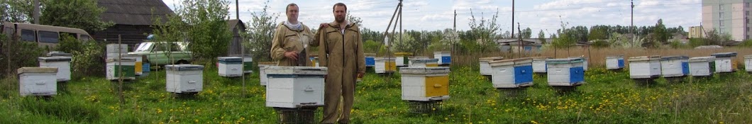 Ð‘ÐµÐ»Ð¾Ñ€ÑƒÑÑÐºÐ¾Ðµ ÐŸÑ‡ÐµÐ»Ð¾Ð²Ð¾Ð´ÑÑ‚Ð²Ð¾ Belarusian Beekeeping YouTube-Kanal-Avatar
