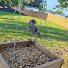 5686PMcgdA0-channel-avatar-Florida Gulf Coast Birds