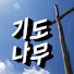 dz63mIH6b_4-channel-avatar-기도나무tv
