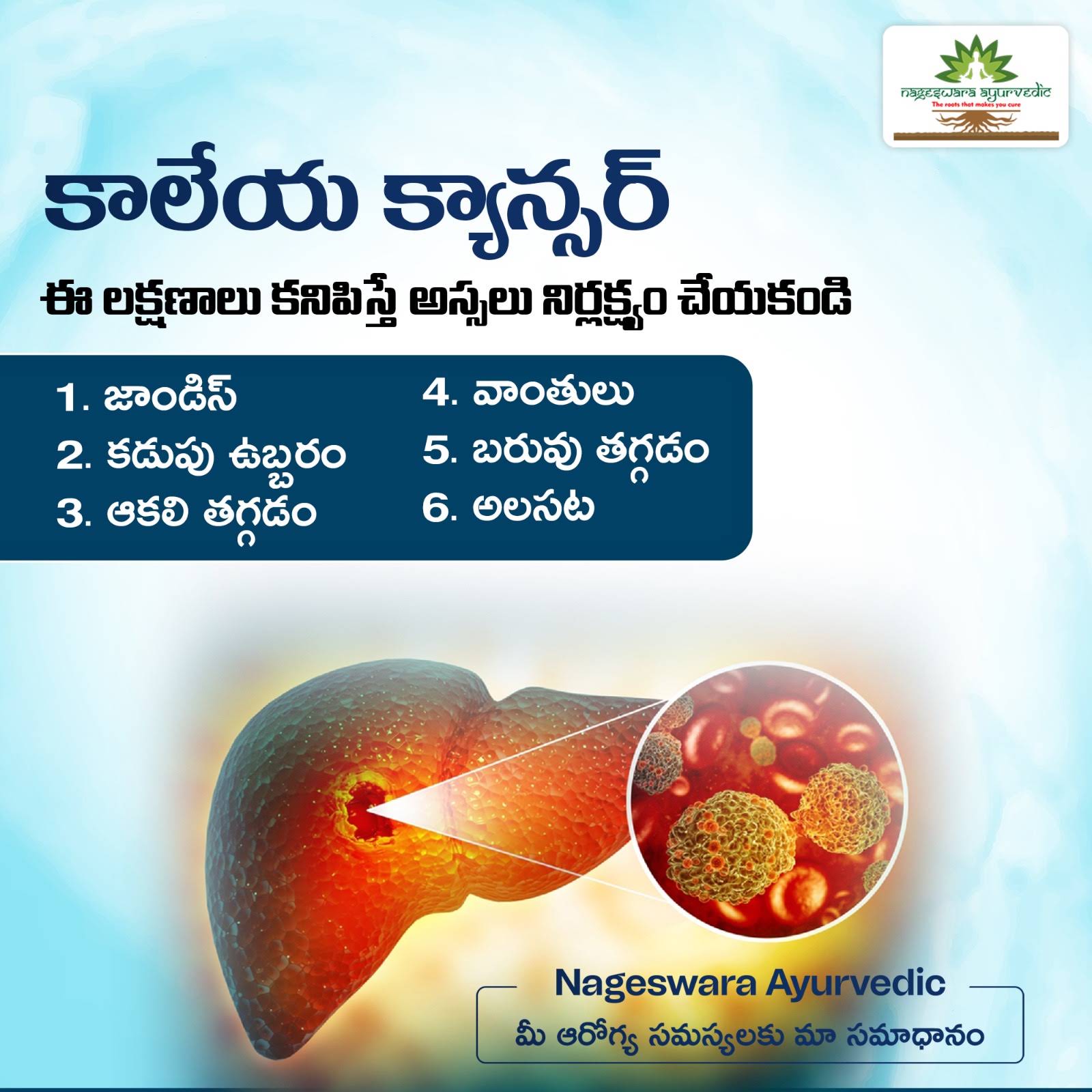 Post from Nageswara Ayurvedic
