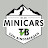 Van Bindsbergen Minicars, Aixam, Microcar & Ligier