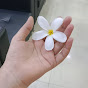 irha_heer