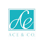 ACE & Co Ltd - Full STEAM Ahead  logo