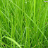 OLdGMXmoSy0-channel-avatar-TouchGrass