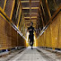 FTKbTuXNk5o-channel-avatar-Draft Zero