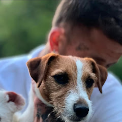 Yanis The Home Wrecker  Avatar