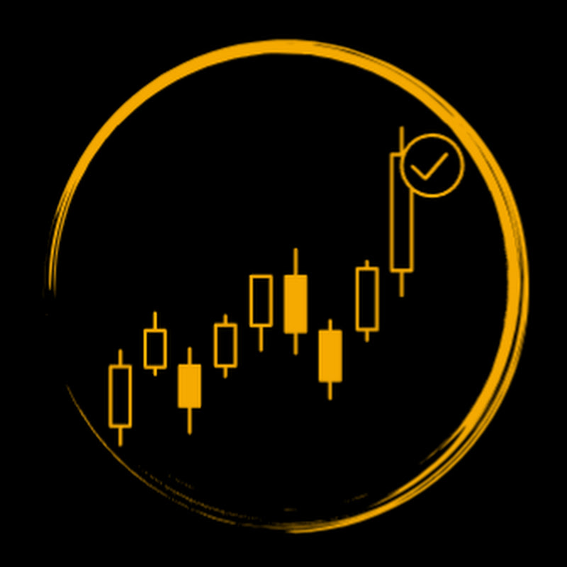 Investment Professor