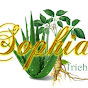 TrichologySophia  logo