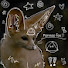 -F6DJuPPS1M-channel-avatar-Bugg