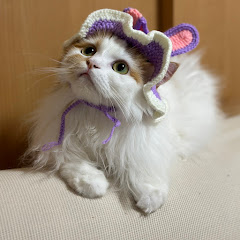 みなりんアイコン画像