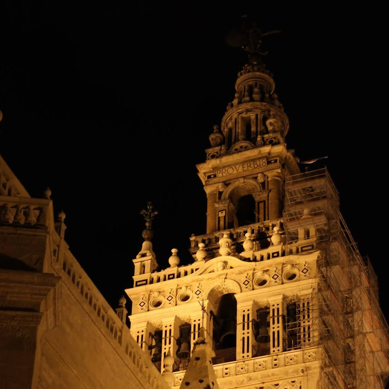 Desde Sevilla para el mundo