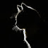 fNzCmrrGWqo-channel-avatar-Meowing Channel