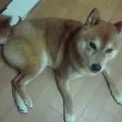 母はがん性リンパ管症