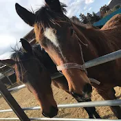 わいえむ【オタク解説】