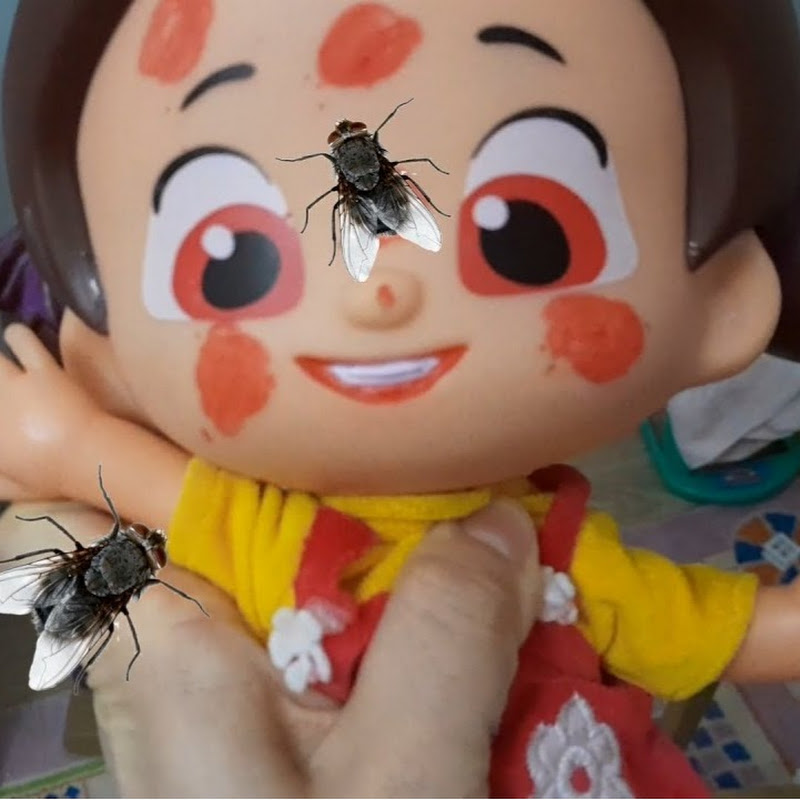 Defne İle Oyun Vakti