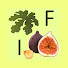 I6ZAVxjLmZg-channel-avatar-Figs in Israel