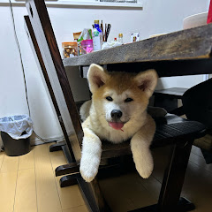 ひめちゃんアイコン画像