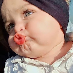 baby shark net worth