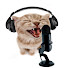 26ybJ8tywuY-channel-avatar-YME