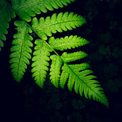 Nature loop 