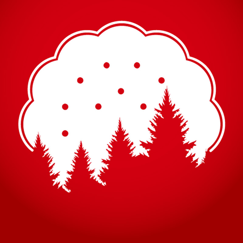 Timber Biscuit Woodworks Logo