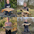 7322Bi_iFEQ-channel-avatar-Goodey Angling 