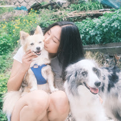 달루카밥상