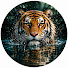 uwsibnYxYPo-channel-avatar-Cooling Tiger Media