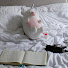 zZNkG6-hYmQ-channel-avatar-Six Notes of Separation