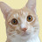 @user-catstory