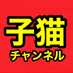 3匹の子猫【kittenCH】アイコン画像