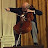 The Cello Bug