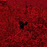 YFv3l1aMkqQ-channel-avatar-SH0W4H! Produções