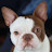 @reasonablyunhinged-25's avatar