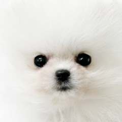 わんちゃんと僕