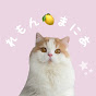 猫のレモンまにあ!【サブチャンネル】