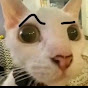 teodortn9137
