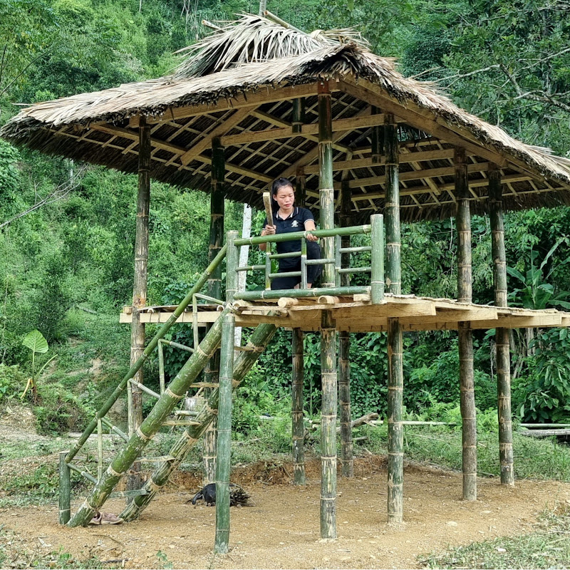 Trieu Mai Huong