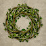 DGIar9wcjg8-channel-avatar-The Quiet Druantia
