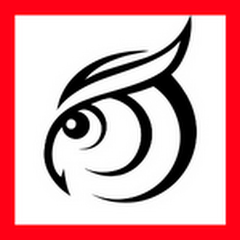 TwinSight Auto