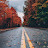 @arslanriaz8536's avatar